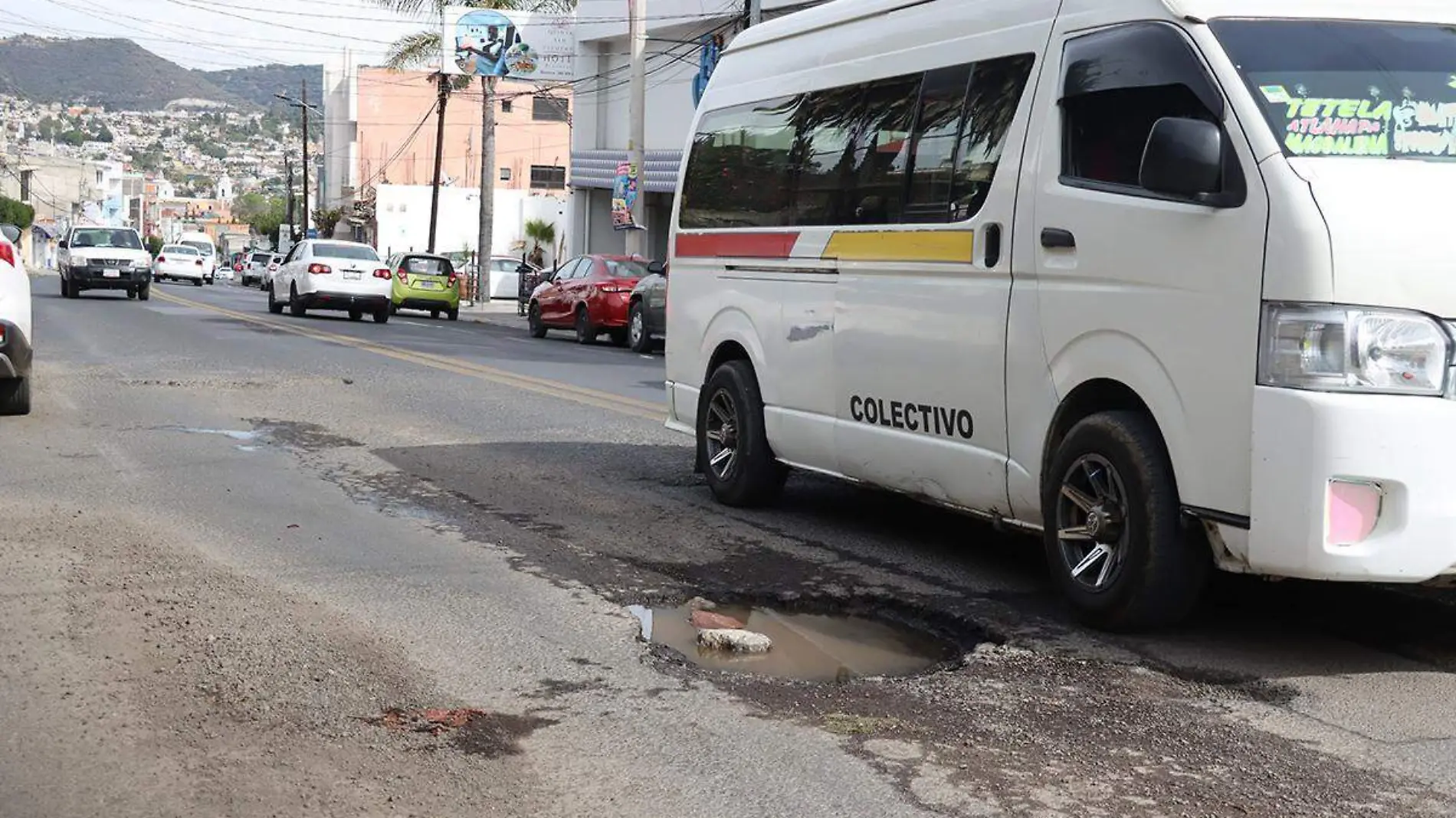 BACHES (5)